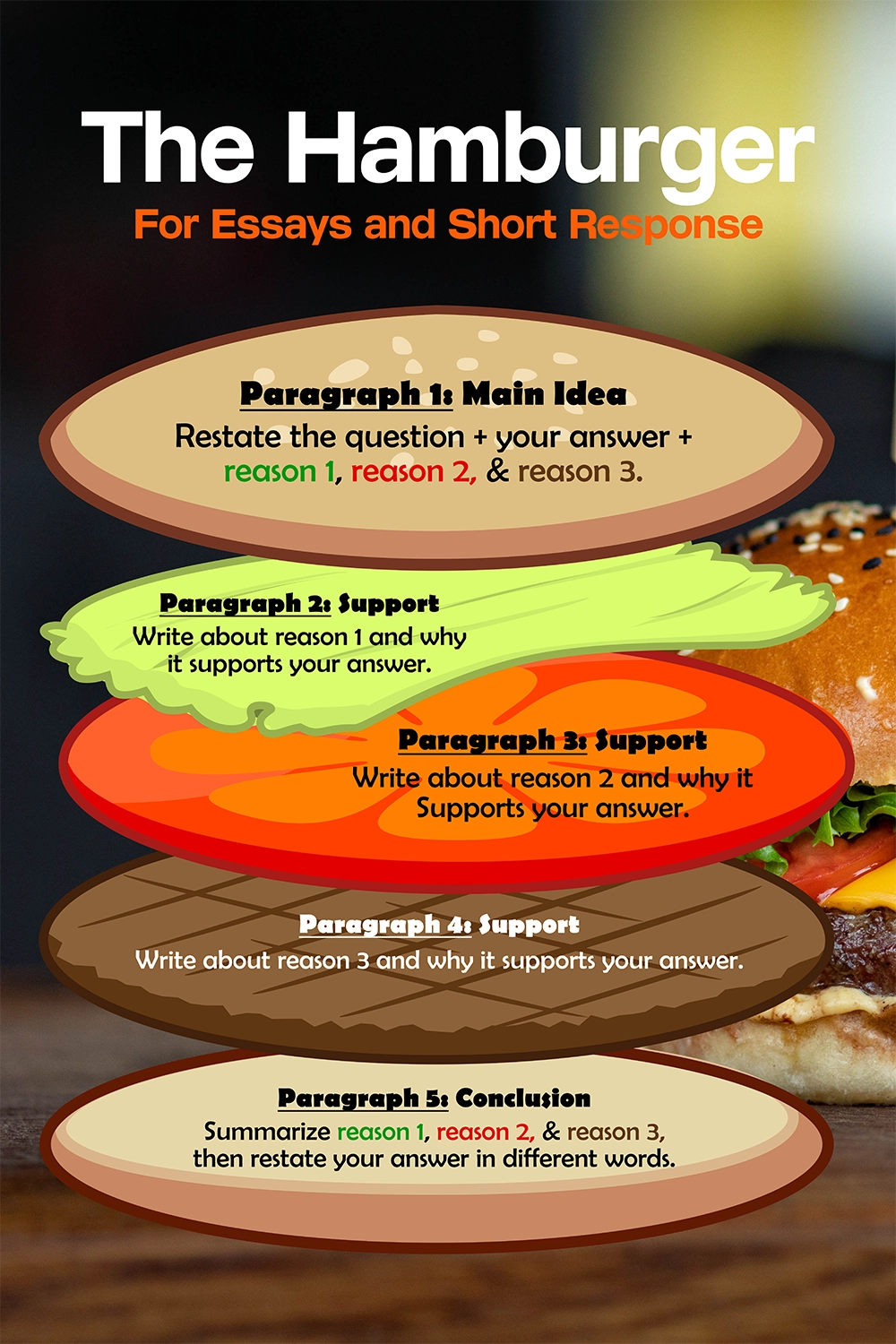 A visual storytelling guide to writing essays and short responses using the "Hamburger" method, breaking down each paragraph's purpose printed on a school poster maker